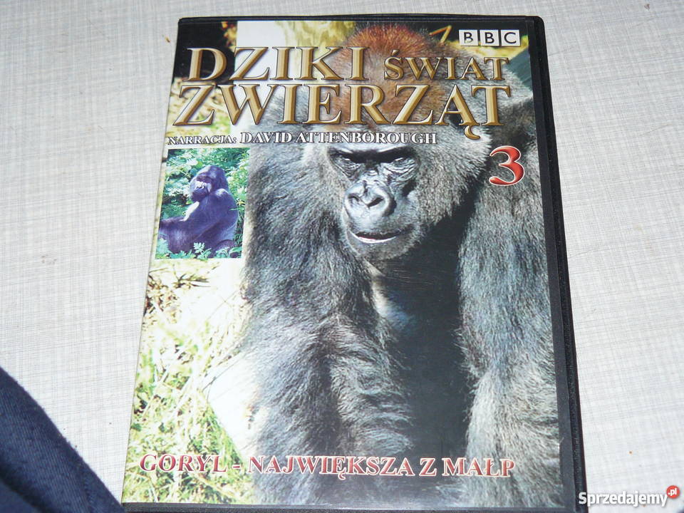Płyty DvD świat zwierząt na jesienne wieczory lektor Nowa Sól sprzedam