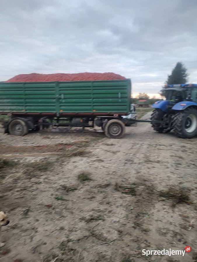 Przyczepa rolnicza 18t Ziółków
