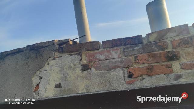 Wykonam prace budowlane a także ogrodowe wycinka Sierpc