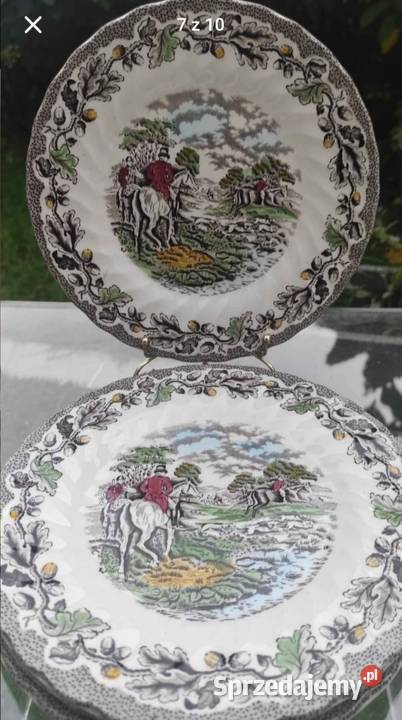 Myotts Country Life kolekcje vintage talerze Porcelana i szkło Pabianice