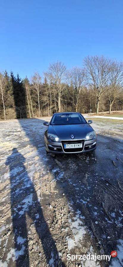 Sprzedaż Laguna Próchnowo