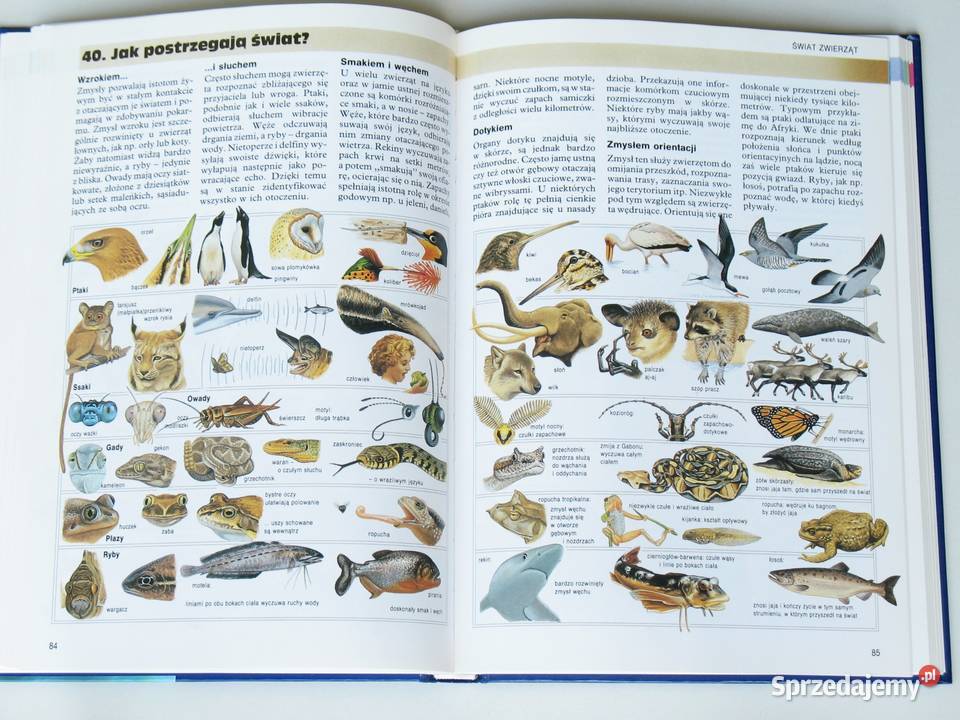 Larousse Encyklopedia dzieci 79 lat Martine et