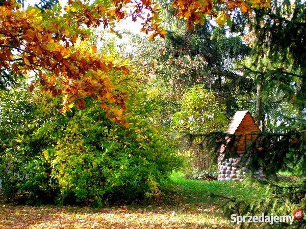 DOM Z KLIMATEM NA PIĘKNEJ DZIAŁCE OKOLICA