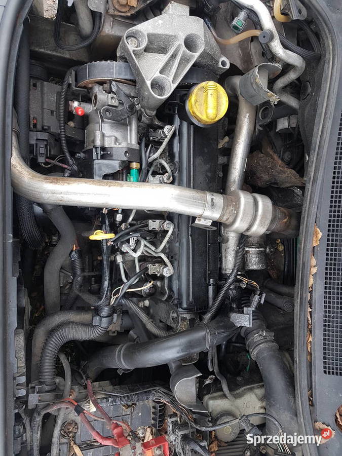 Renault 15 dci K9K 101 Silnik 181 małopolskie Świątniki Górne