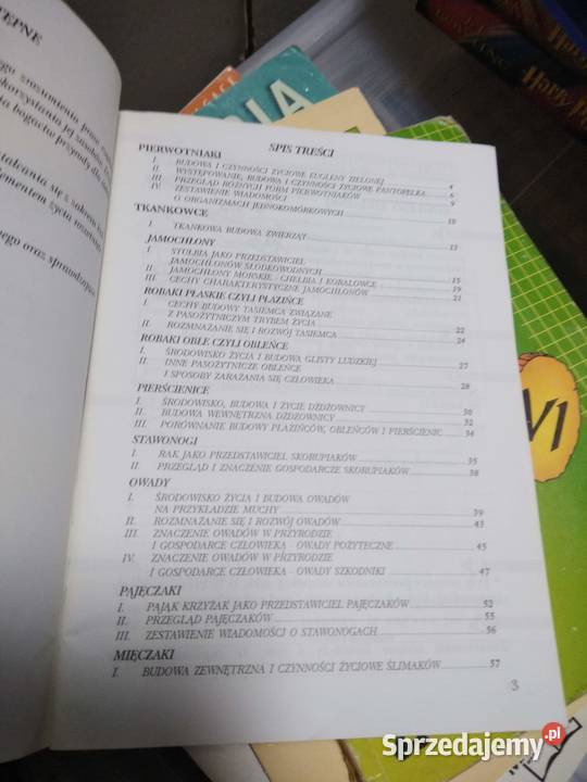 bezkręgowce 5 ćwiczenia biologia Bródno