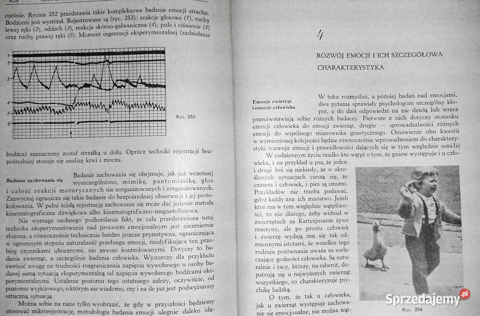Psychologia Zarys podręcznikowy Tom Włodzimierz twarda Pozostałe lubelskie Chełm