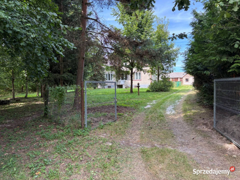 Siedlisko gospodarstwo Sobieszyn sprzedam