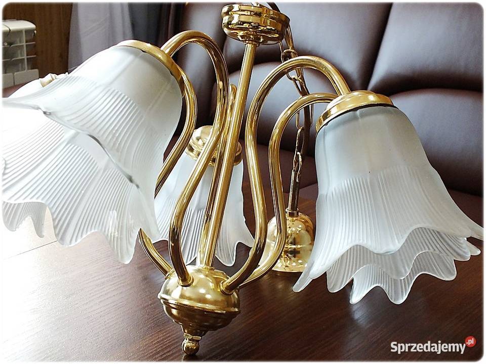 Złoty Żyrandol 5 ramienny Tulipany Lampa wisząca