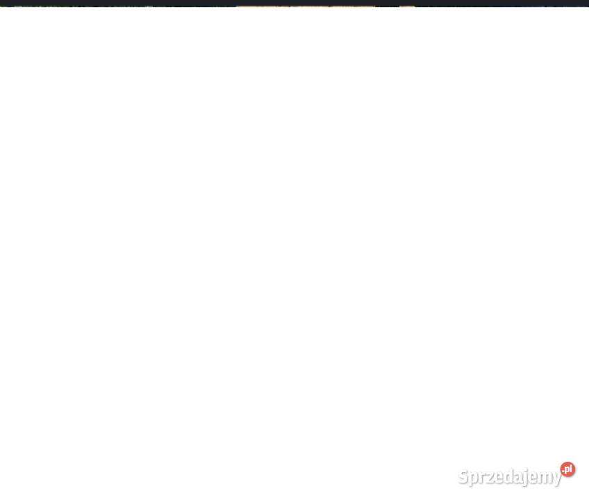 Faszyna kołki i słupki do siatki leśnej mazowieckie