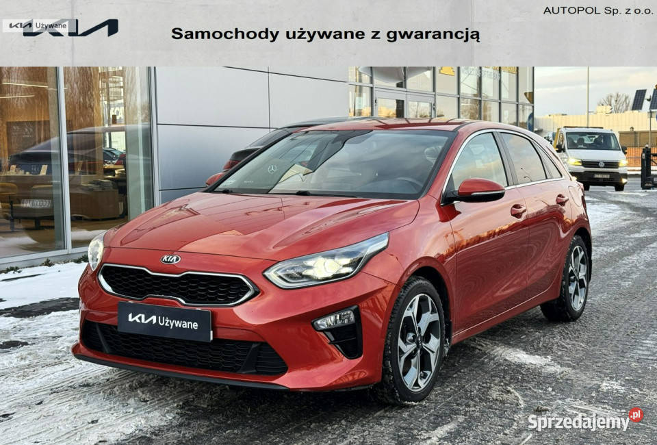 Kia Nowy Ceed 14 TGDI 140 Business Line Hatchback Toruń