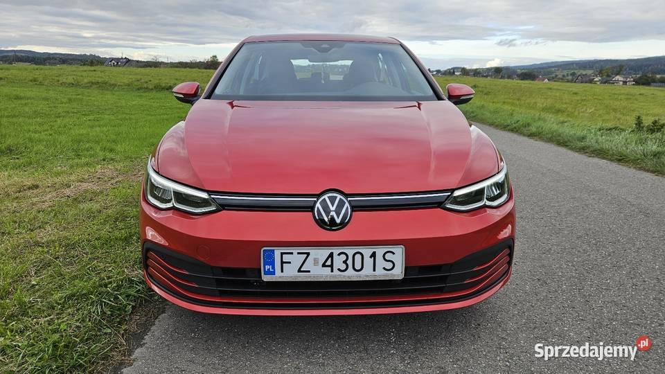 Volkswagen Golf 8 Rabka-Zdrój