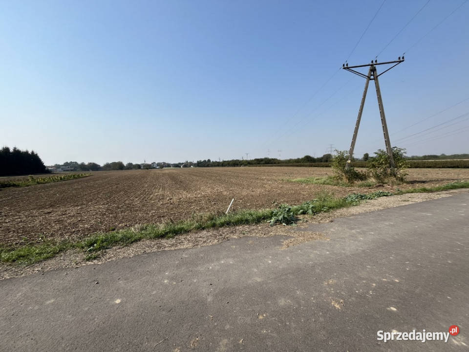 Działka rolnobudowlana 062 ha w Gołębiu kPuław Gołąb