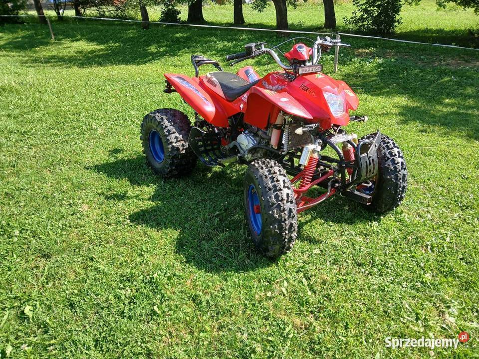 Bashan 25011b sportowy Bashan Bańska Niżna