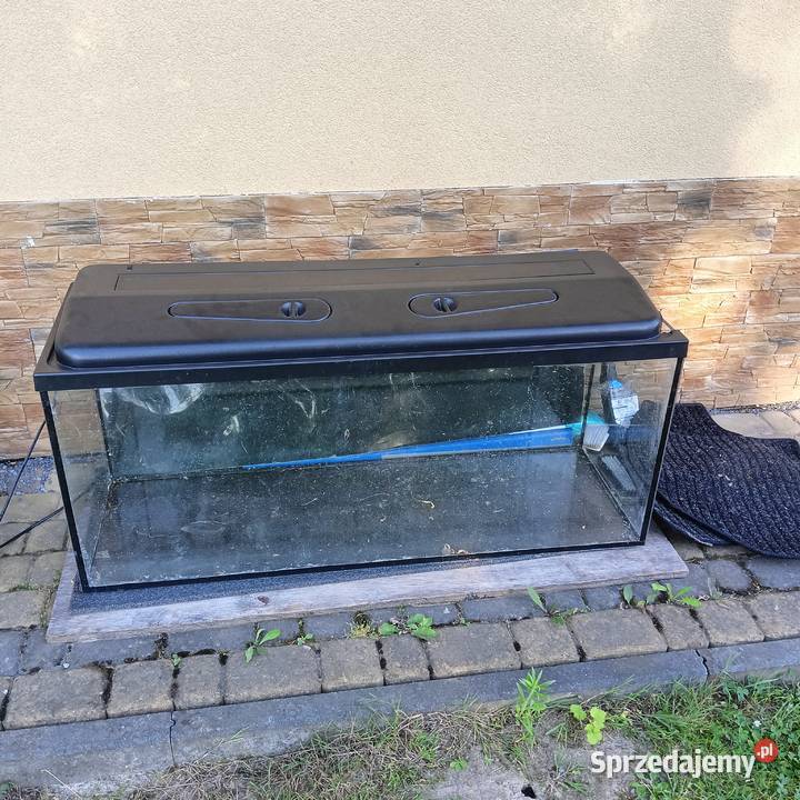 Akwarium 240 l