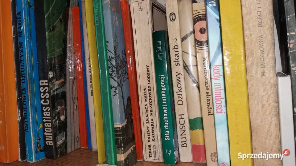 Siła duchowej inteligencji książka Buzan duchowe