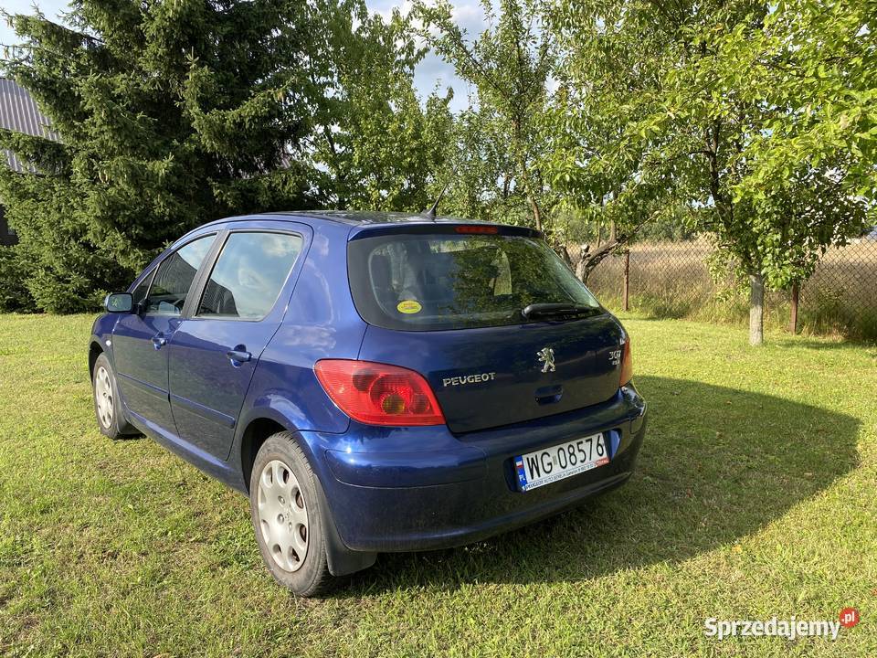 Peugeot 307 salon Polska pierwszy właściciel Garwolin