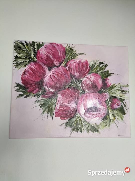 Piwonie Lublin sprzedam
