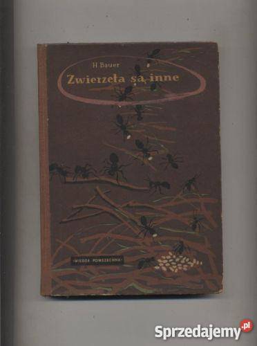 Zwierzęta są inne zachodniopomorskie