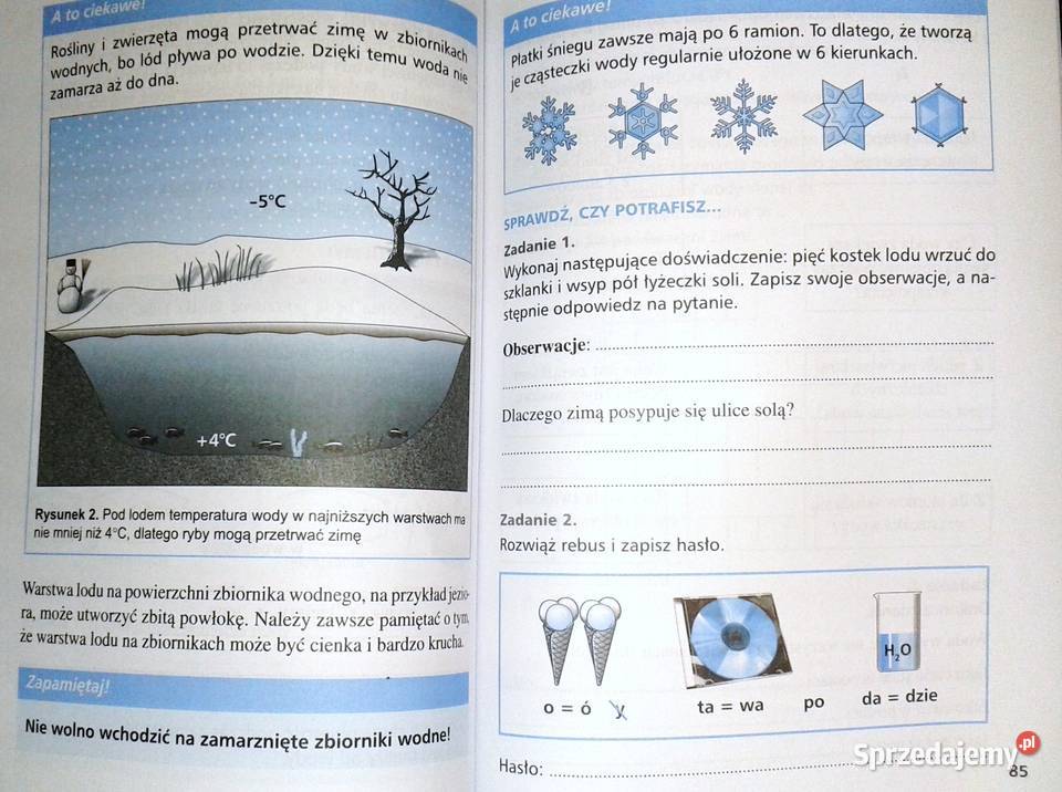 Chemia 1 Podręcznik gimnazjum Ewa Dobroszczyk Chełm