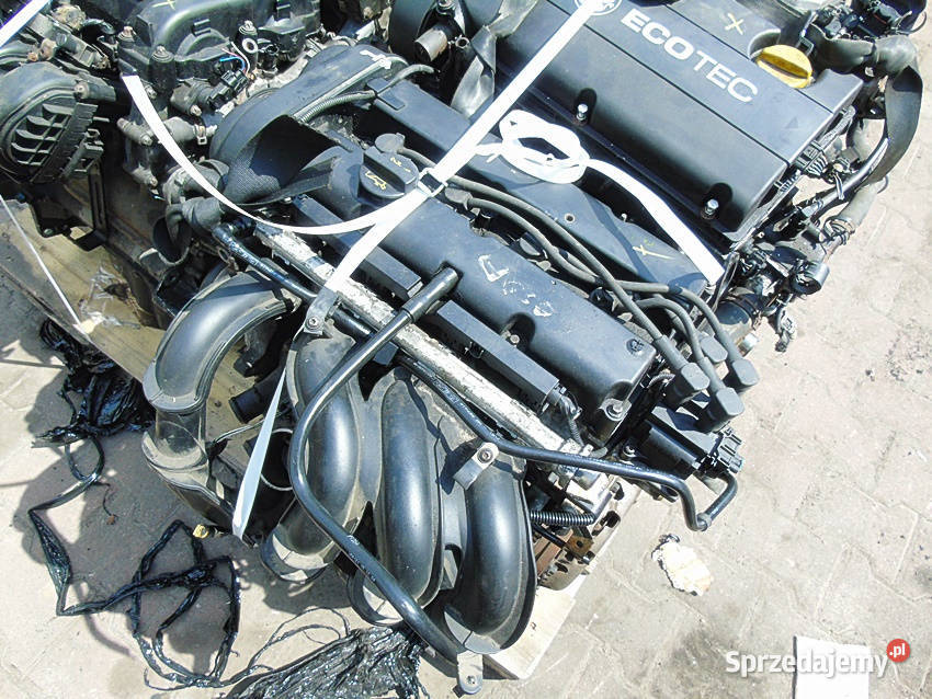 SILNIK NA CZĘŚCI 16 16V FOCUS II C V50 S40 C30 śląskie Sosnowiec sprzedam