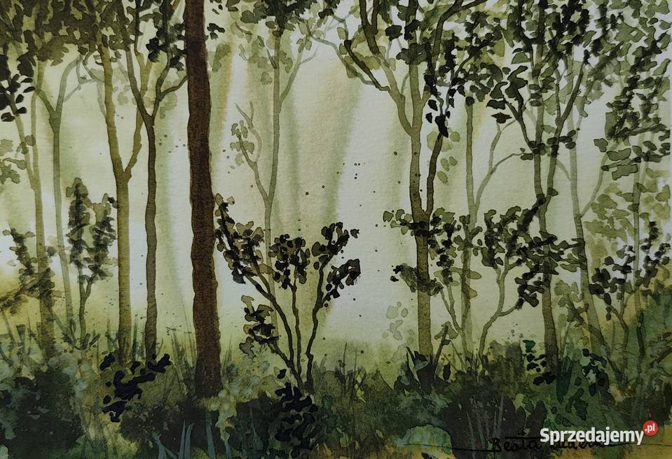 Akwarela Akwarelka Obraz pt Pomiędzy drzewami Świnoujście