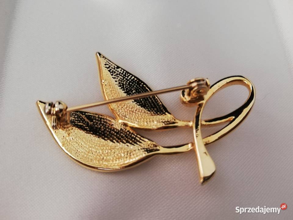 Klasyczna wykwintna delikatna broszka