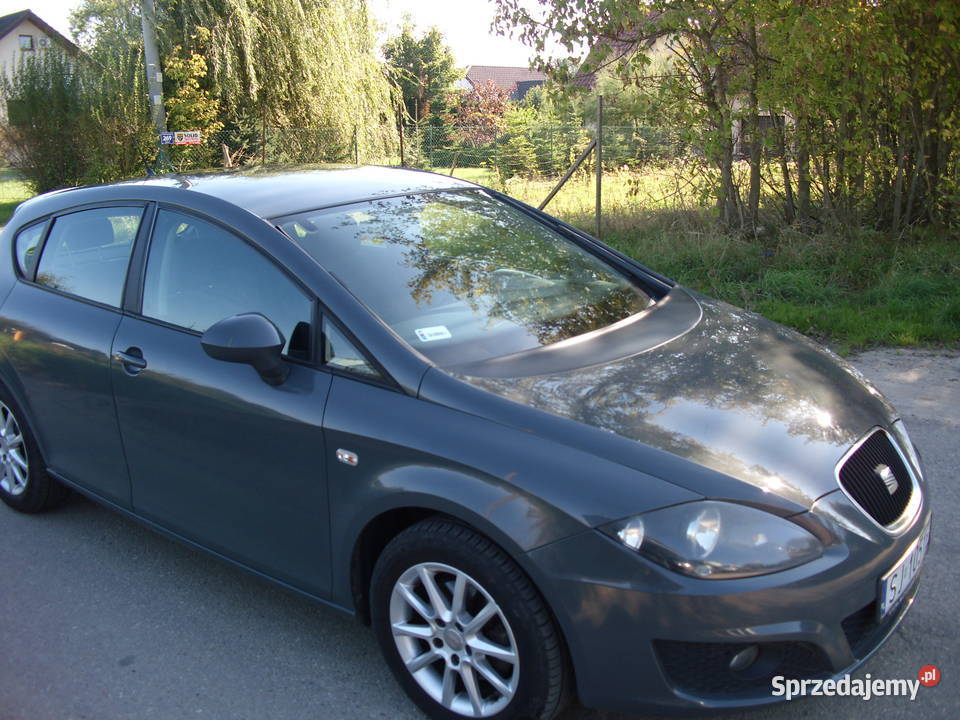 Seat leon II 14 benzyna 120 wyposażenie 226000km Leon małopolskie Kraków