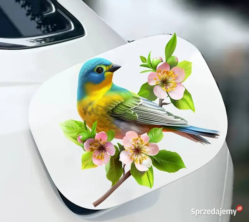 Naklejka na szybę ścianę z ptakiem Naklejki Ząbki sprzedam