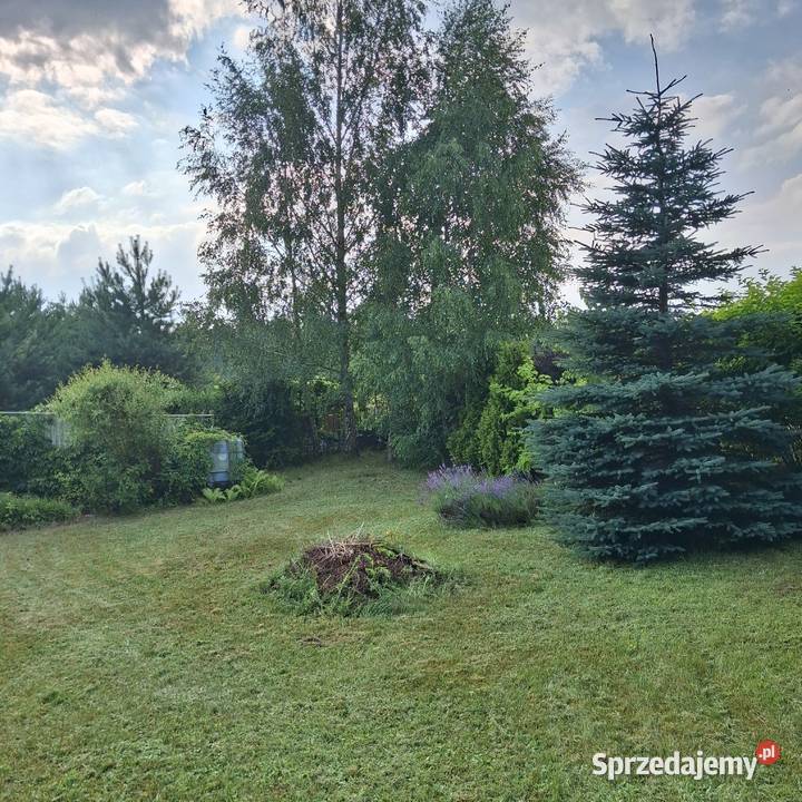 Bory Tucholskie Dzislka na sprzedaż 891m sprzedam