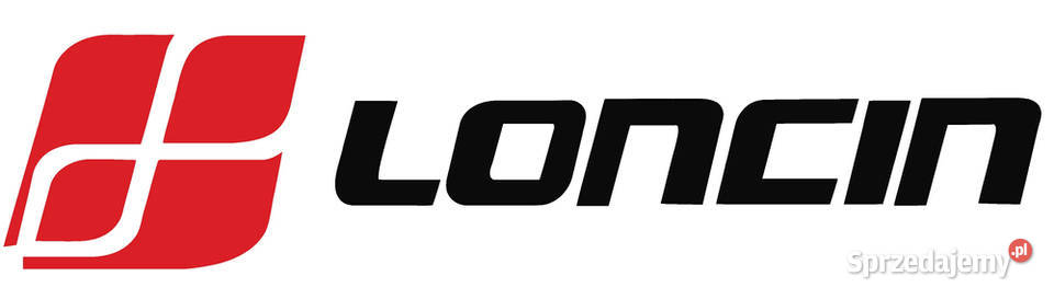 OLEOMAC OM LINE PZU 36 IE AGREGAT GENERATOR