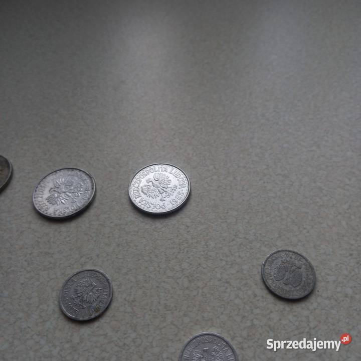 Monety 1zloty i 10gr Mrozy sprzedam