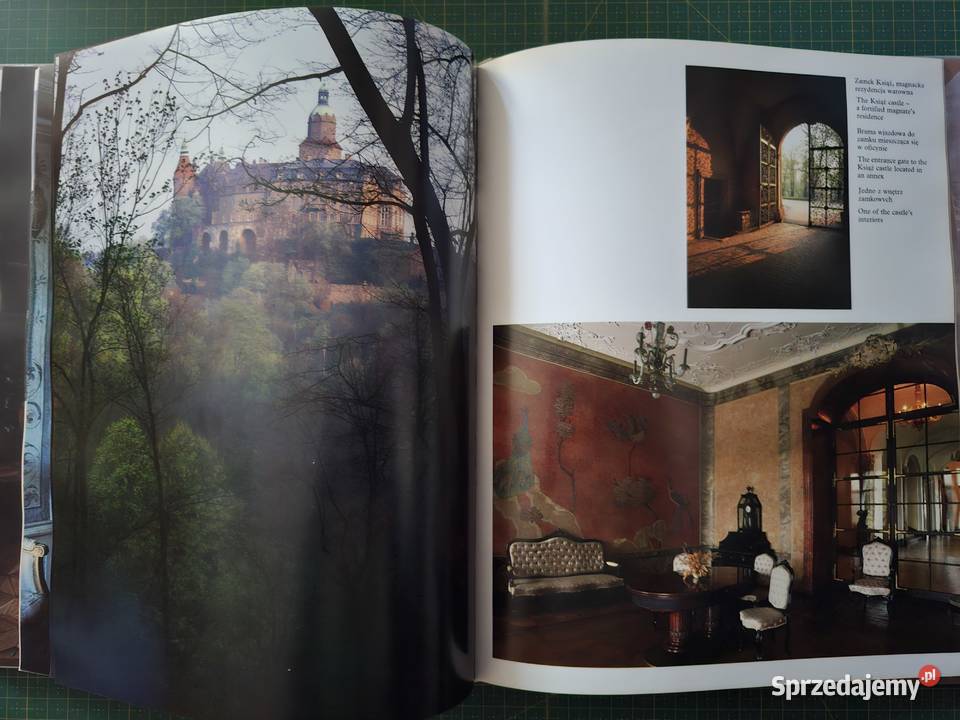 Zamki i zamczyska Adam Bujak Kraków