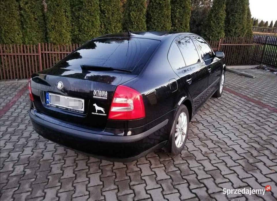 Skoda Octavia II LPG 160 zadbana 4/5 mazowieckie Przasnysz sprzedam