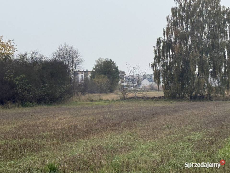 Działka rolna Baranów 5000m2 wielkopolskie
