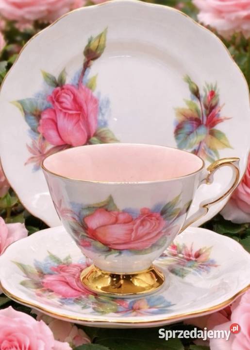 Angielska porcelana kostna ROSLYN Pabianice