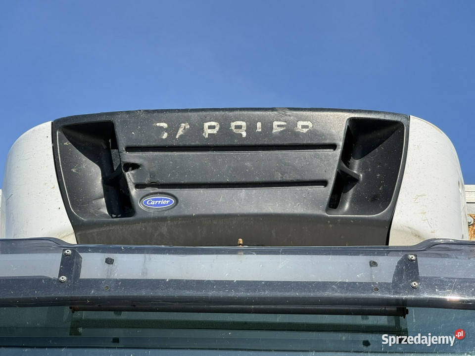 Iveco Zabudowa Chłodnia Agregat Carrier Supra Samochody ciężarowe Widełki