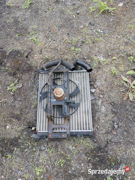 Chłodnica reno Thalia chłodnice śląskie