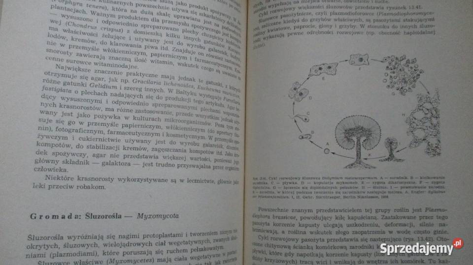 Świat roślin Prończuk roślinność przyroda biologia, ekologia
