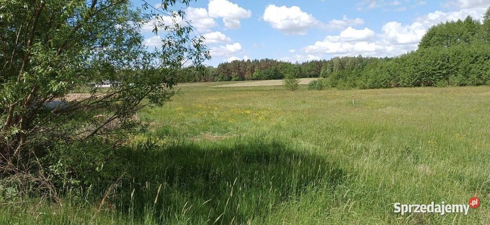 Działka 1000m2 Skrybicze warunki zabudowy kanalizacja