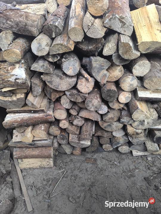 Sucha sosna lubelskie Zawieprzyce