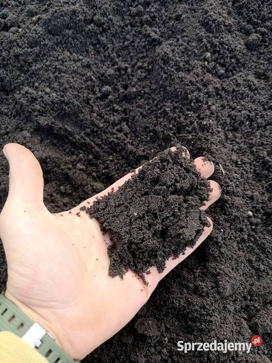 Czarnoziem Humus ZIEMIA Ogrodowa Siana do Zielonki