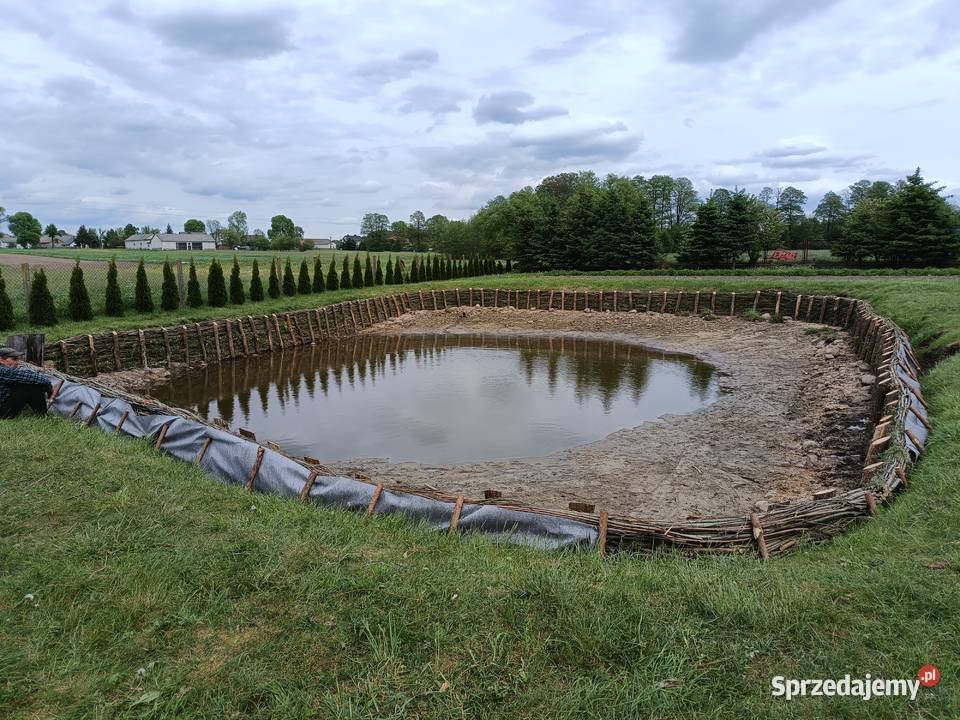 Faszynowanie stawów Grębków