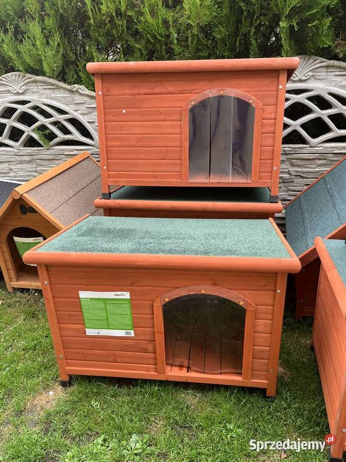 Buda psa Zielina sprzedam