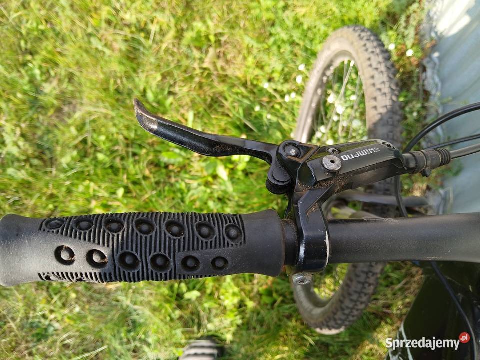 rower mtb Wheeler Buddy 03