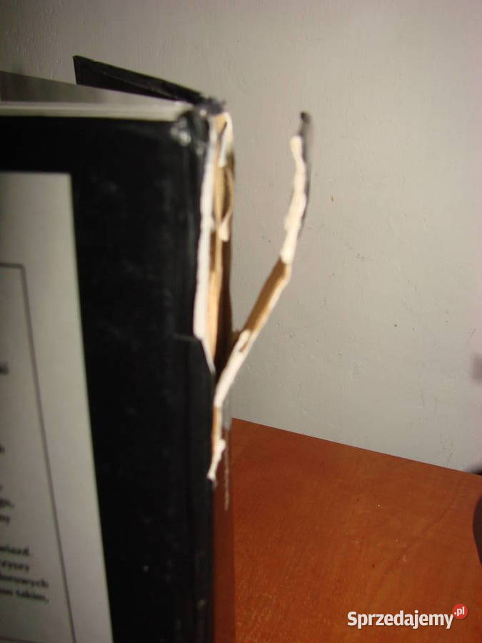 Błękitna kropka C Sagan Pruszcz Gdański