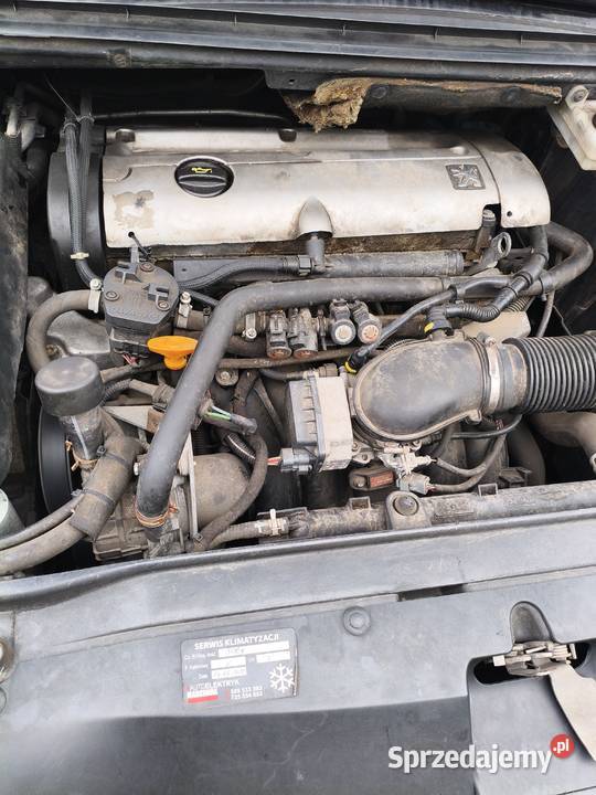 peugeot 307 sw 20 benzlpg 307