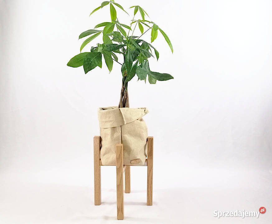 Stojak nowoczesny na doniczkę z kwiatami beżowy Warszawa