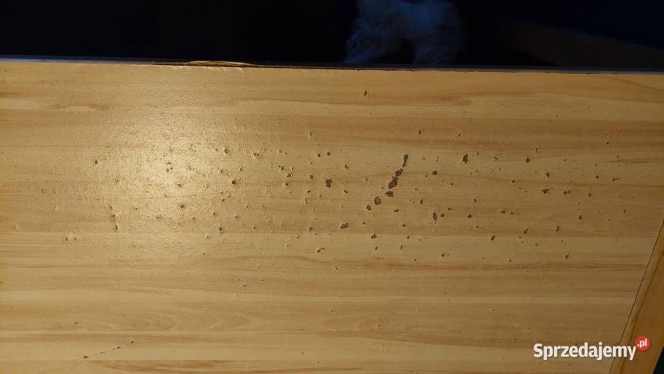 Stabilny spory stół do jadalni salonu mazowieckie Warszawa