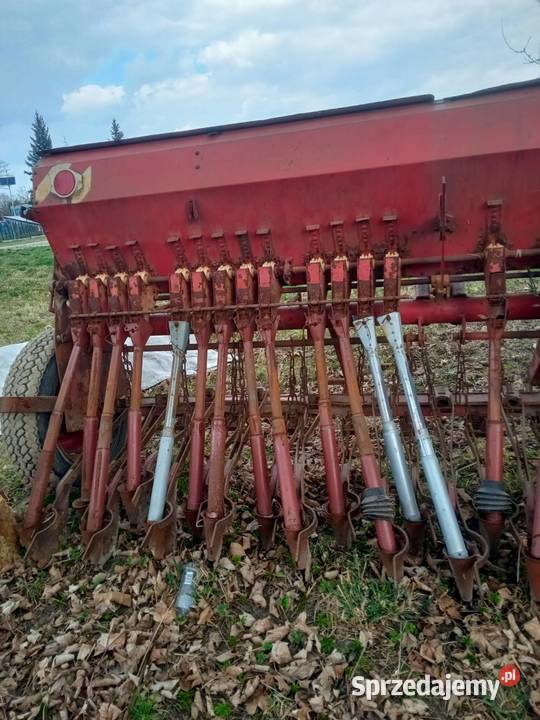 Siewnik Poznaniak Sokolniki