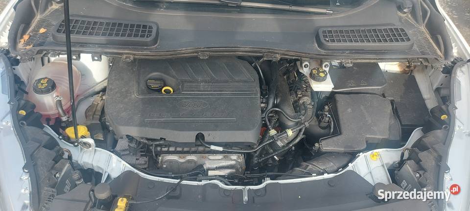 KUGA 15 benz Paczków